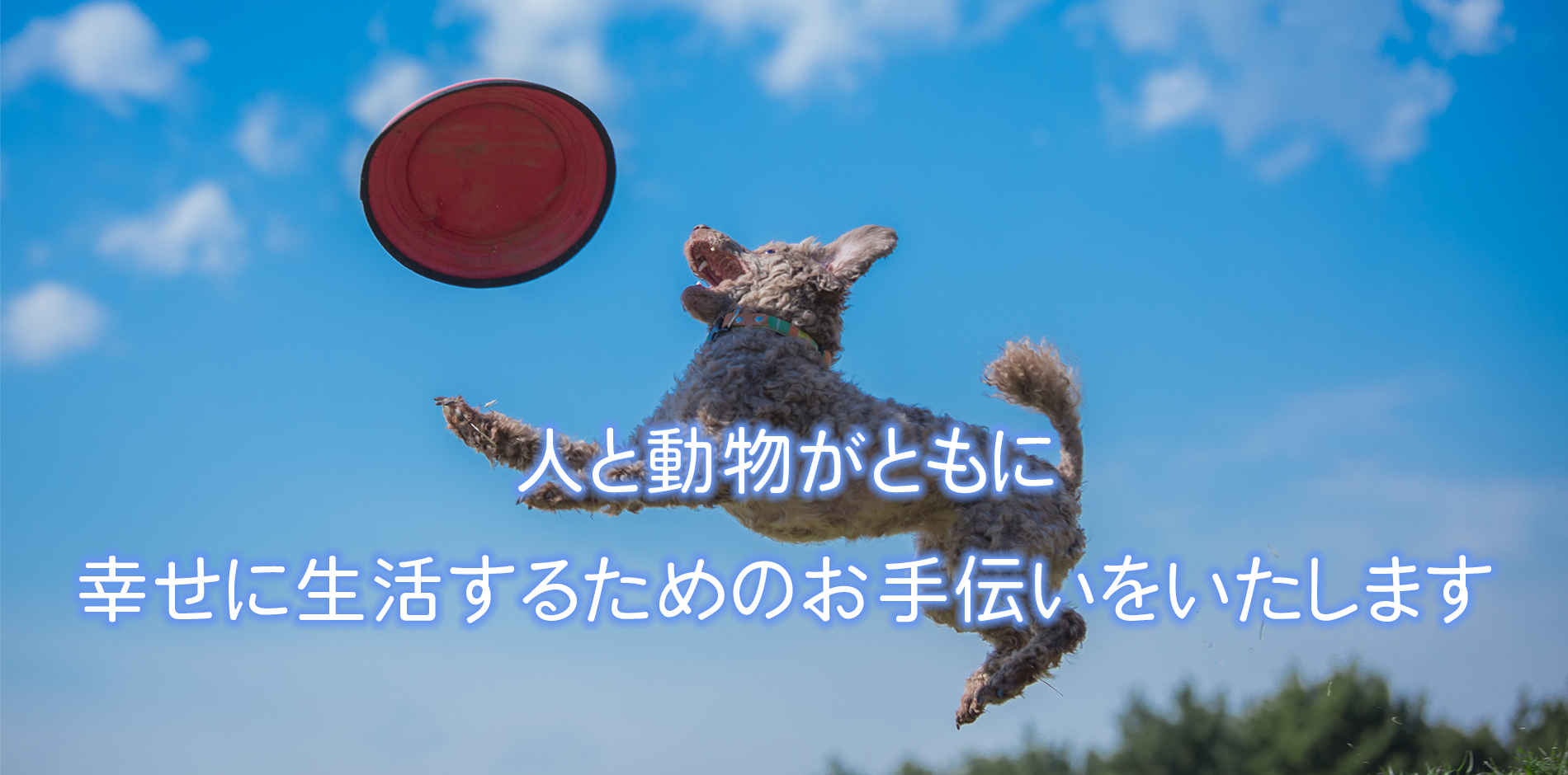 宮城県遠田郡涌谷町の外観